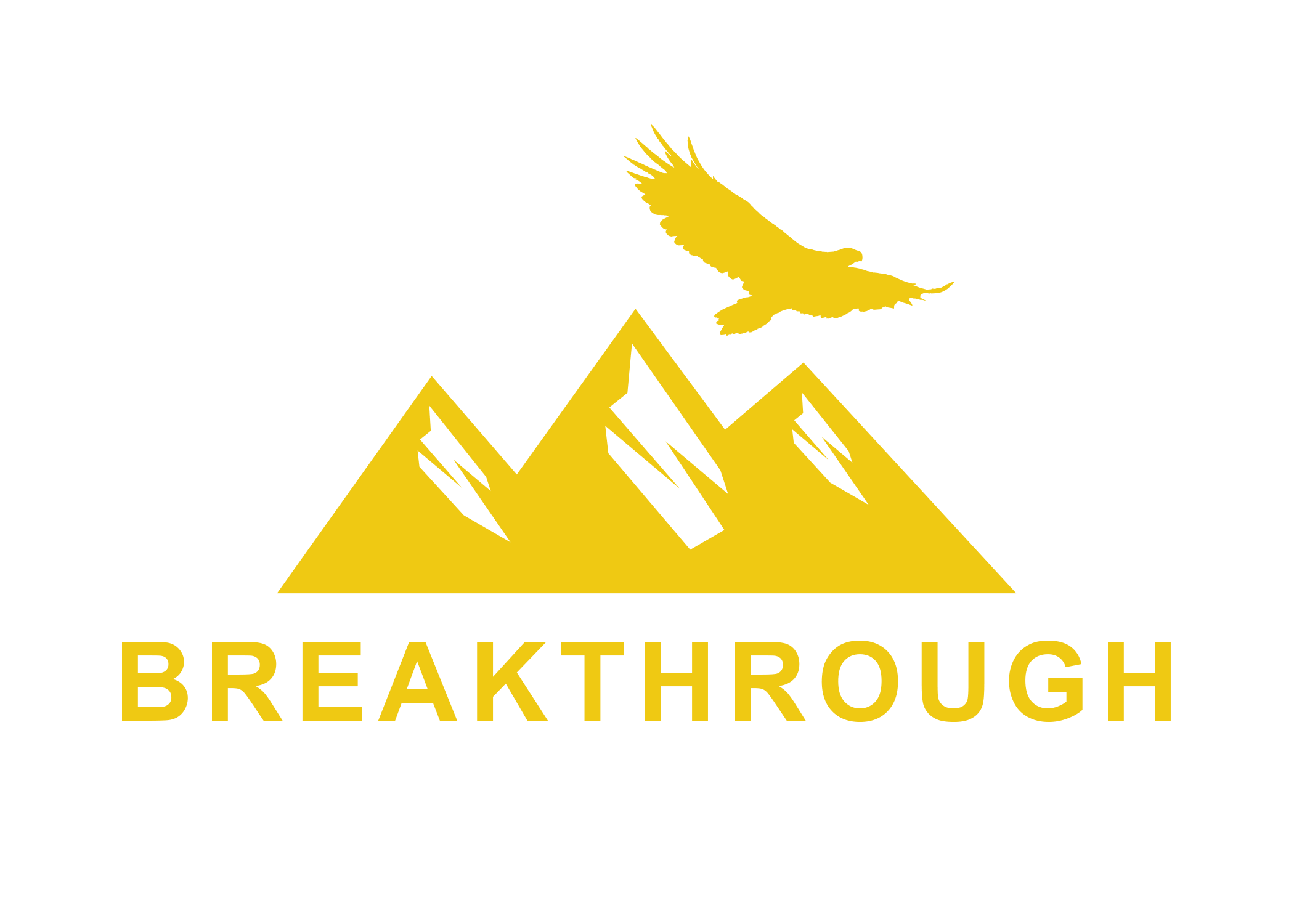 Breakthrough Leadership Academy