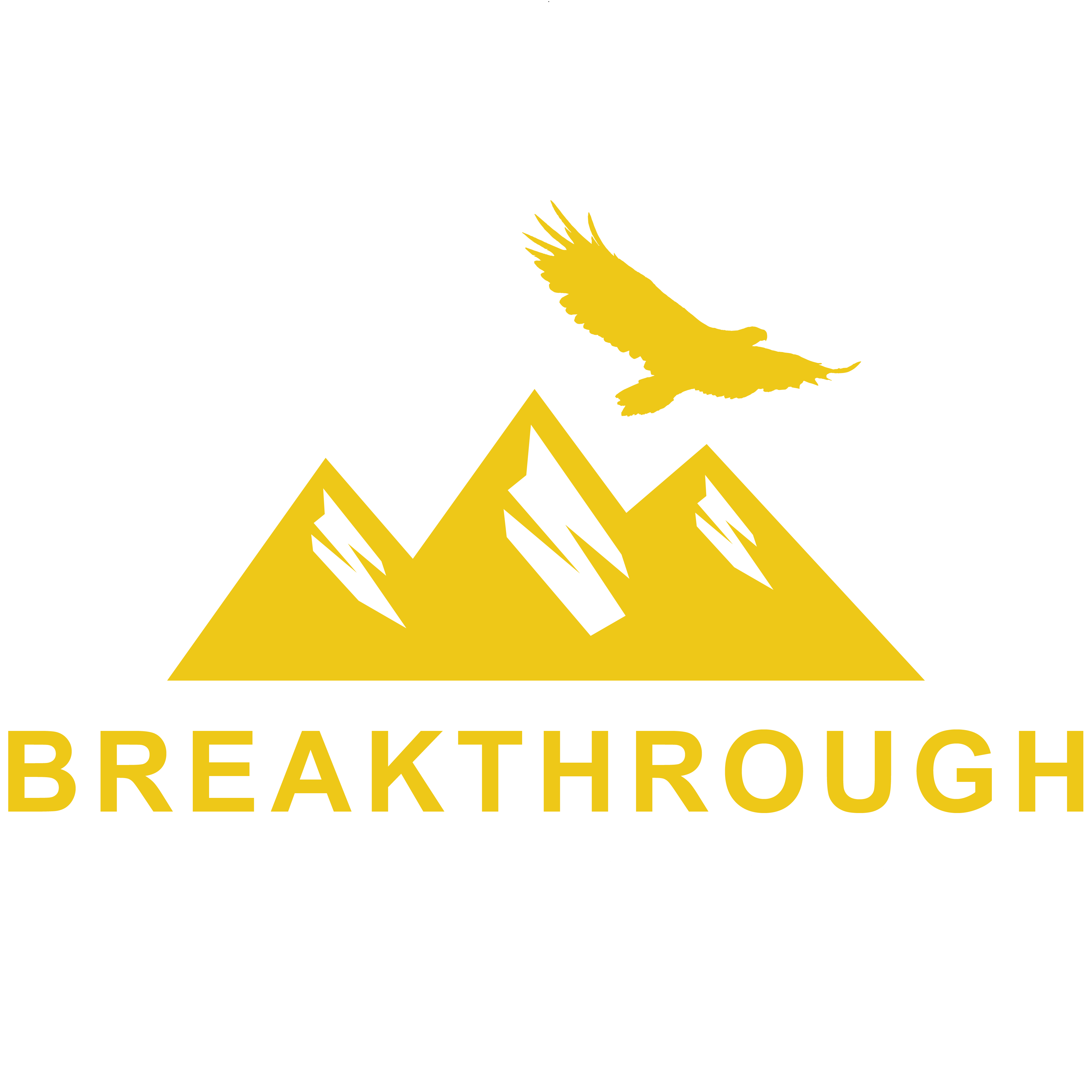 Breakthrough Leadership Academy